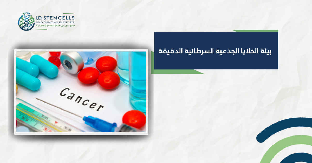 بيئة الخلايا الجذعية السرطانية الدقيقة